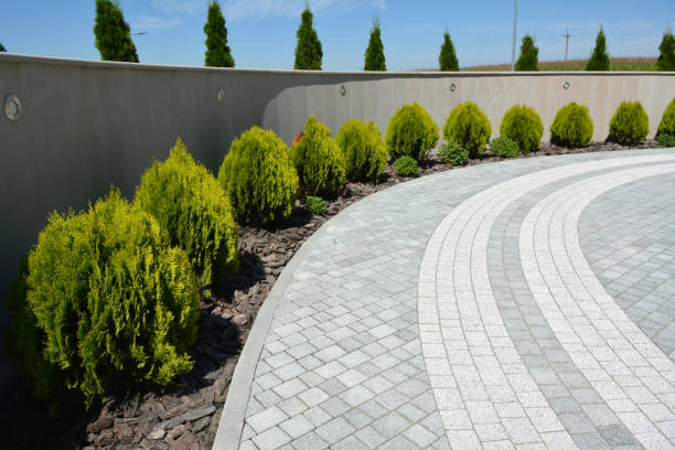 Driveway Repair Near Me in East Foothills, CA